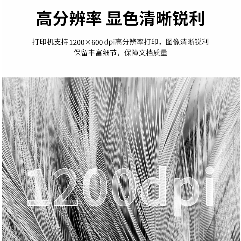 s36沙龙会ZYP28DN激光打印机(白色)(台)