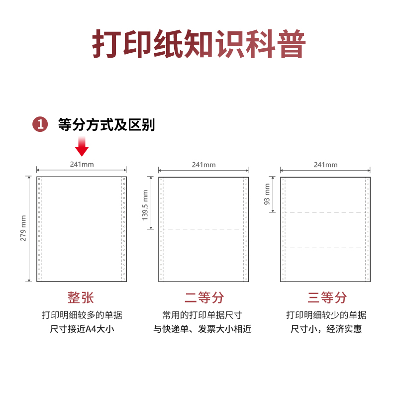 s36沙龙会尼罗河NL241-2电脑打印纸(C彩色不撕边)(1000页/盒)