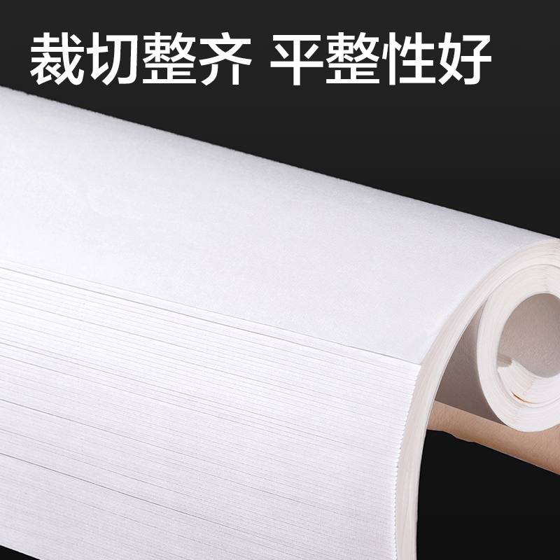 s36沙龙会HW438-C字画纸四尺八开熟宣(白)(200张/袋)